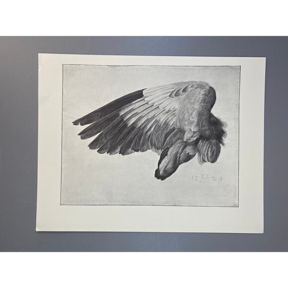 Albrecht Durer, Left Wing, Drawing, Print, Bookplate, Classic Art~ 240623-WH 595 - Picture 2 of 3